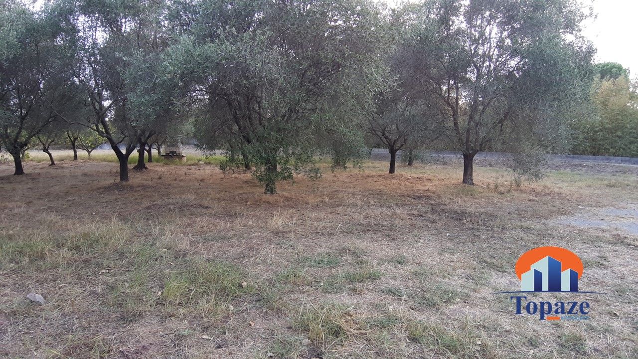 Agence immobilière de TOPAZE IMMOBILIER