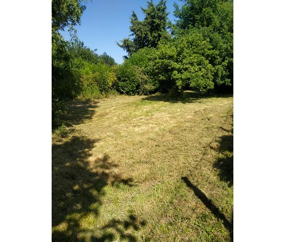 Agence immobilière de BAZIN IMMOBILIER