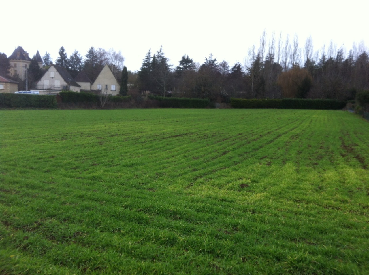 Agence immobilière de AGENCE FD IMMO