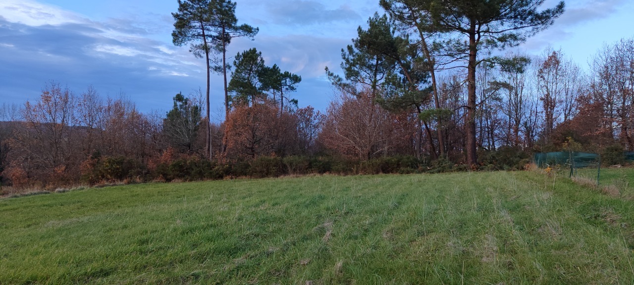 Agence immobilière de AGENCE FD IMMO