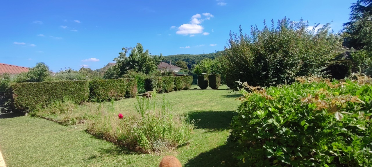 Agence immobilière de AGENCE FD IMMO